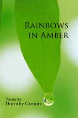 Cover - Rainbows in Amber